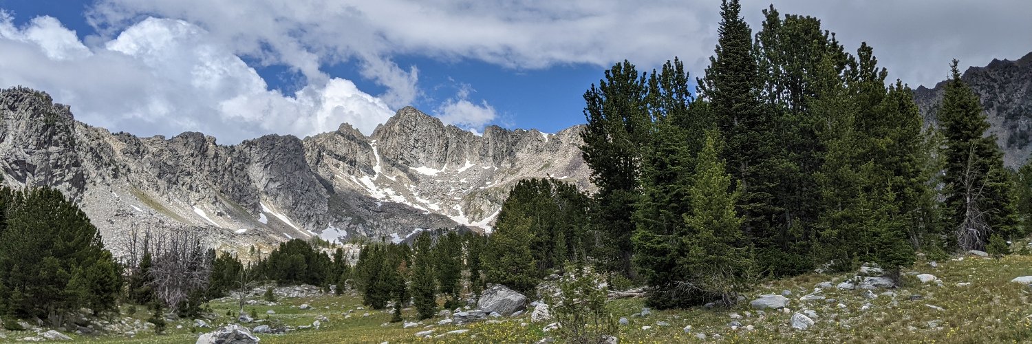 Patrick Fischer banner