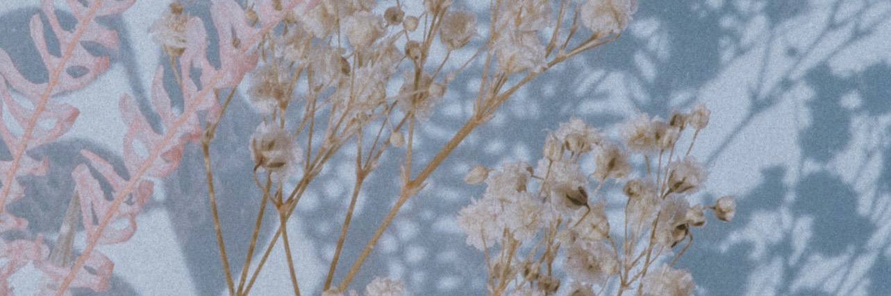 Aakanksha_13's profile banner image