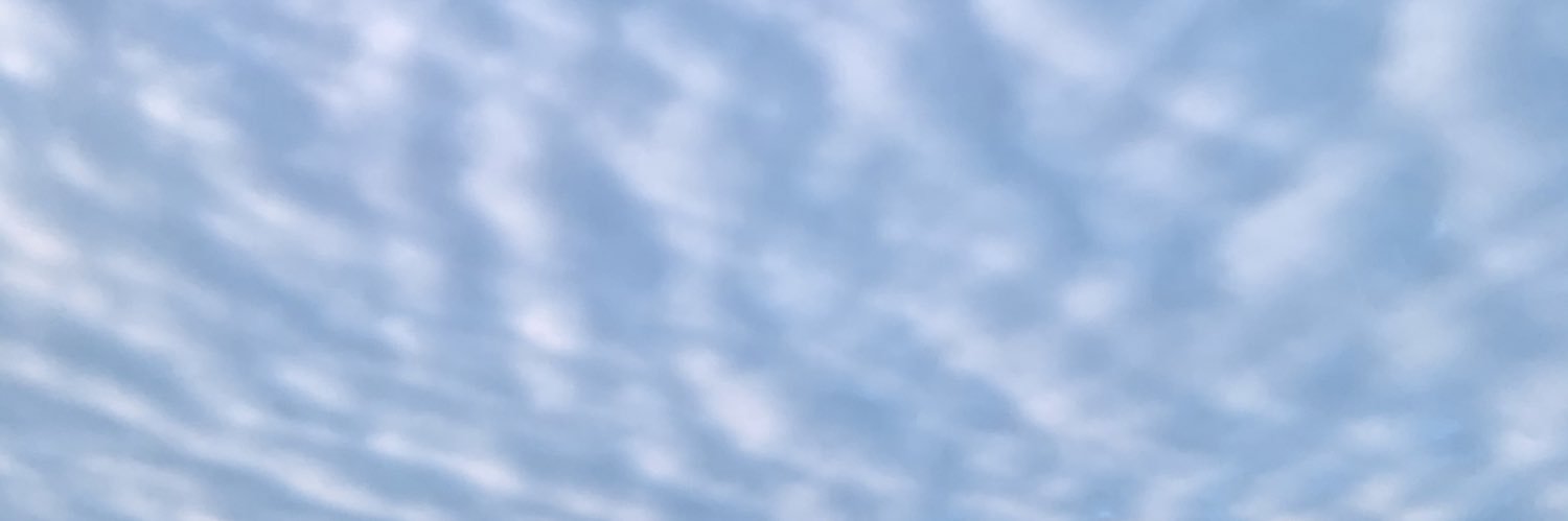 Tina Zavala banner