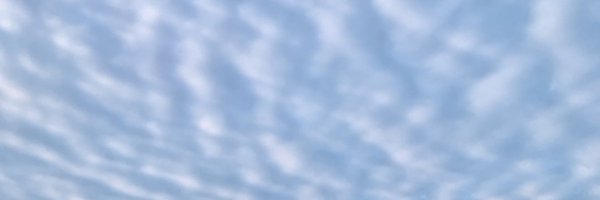 _tinazavala Profile Banner