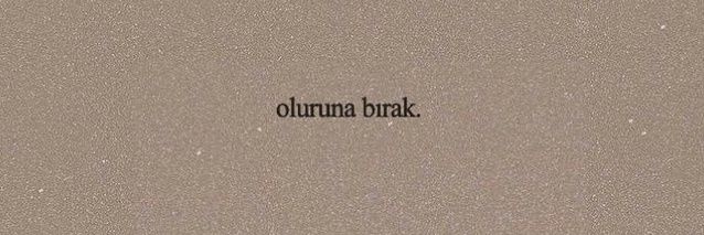birzarifcek's profile banner image