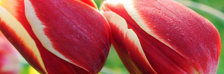 AntoniaMCM's profile banner image