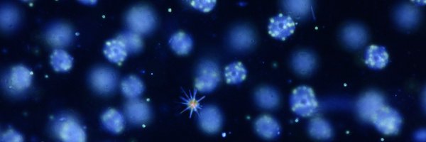 JohanD13016359 Profile Banner