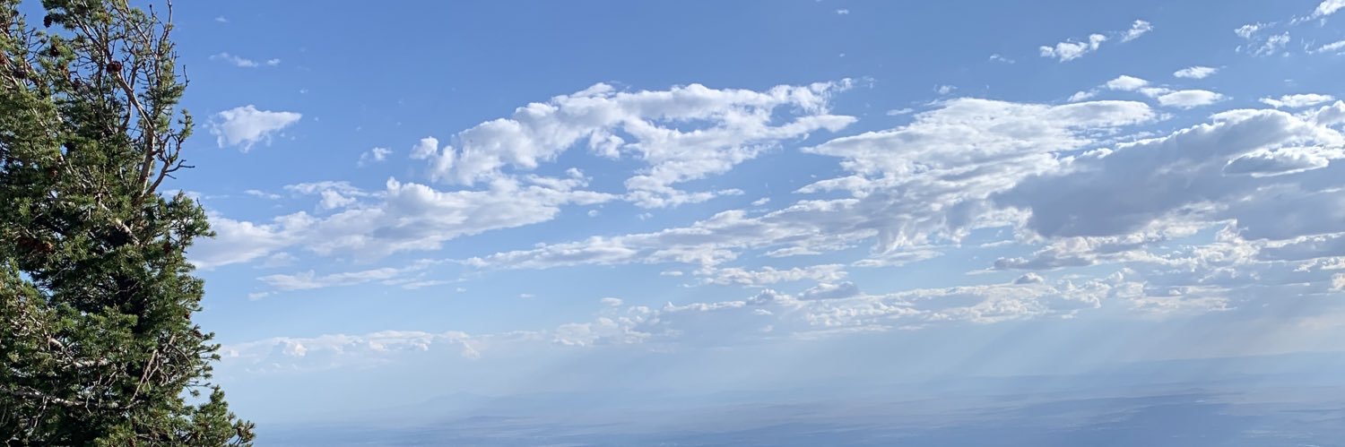 Lisamichellemd's profile banner image