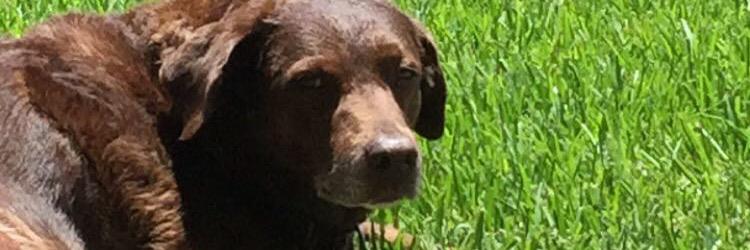 haleyjgoff's profile banner image