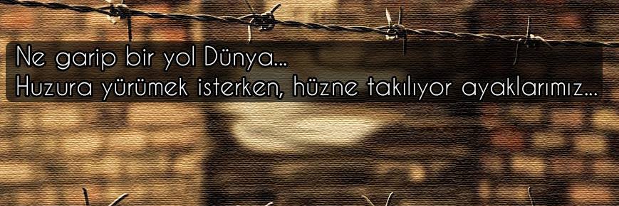 FaikBozteke's profile banner image