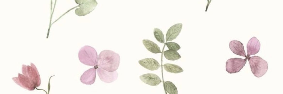 CallieRaymond11's profile banner image