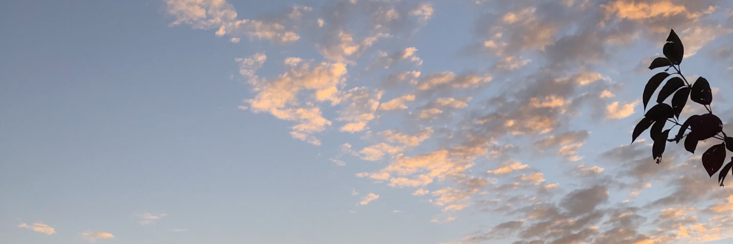 ormbeeme's profile banner image