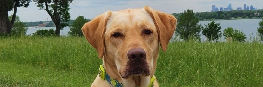 connershecterle's profile banner image