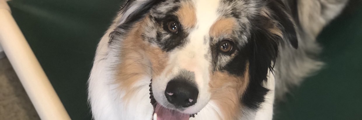 HelloItsSteph's profile banner image