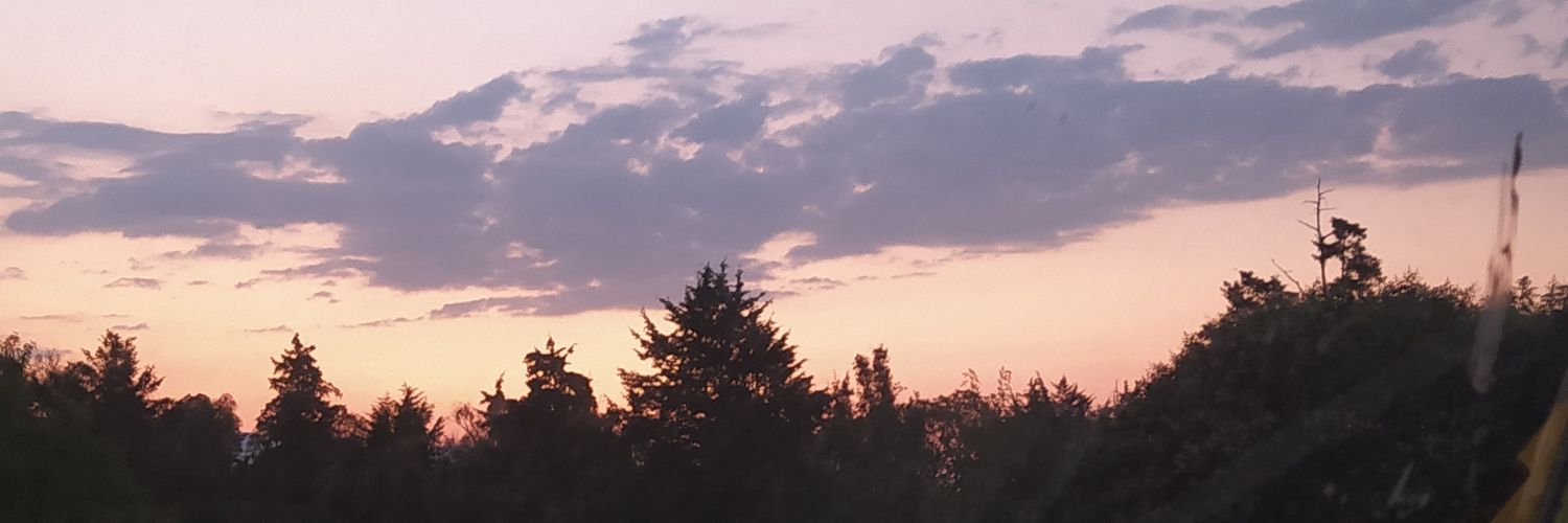 reportemxCh's profile banner image