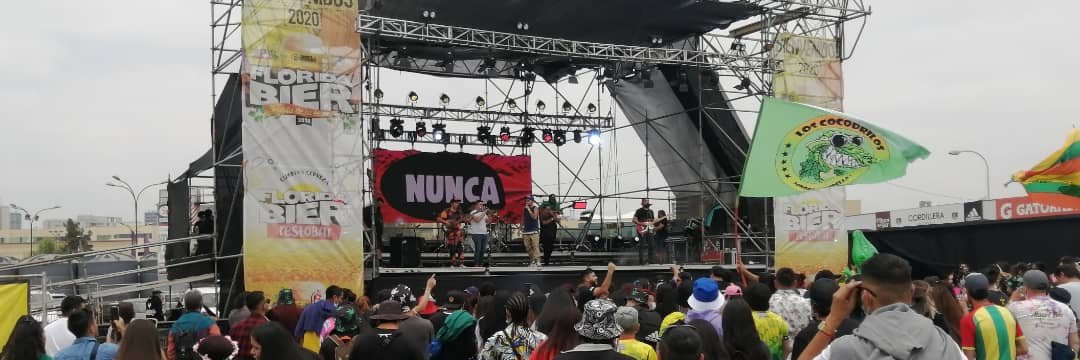 Mauro Edy banner