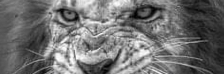 BrOsgON's profile banner image