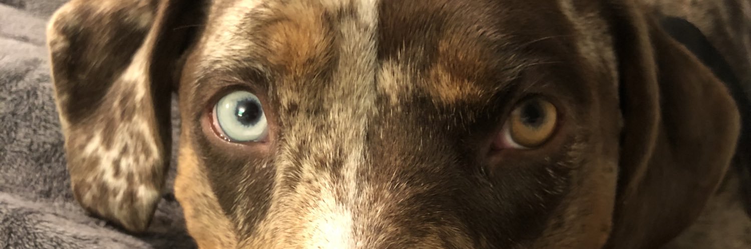 mbast98's profile banner image