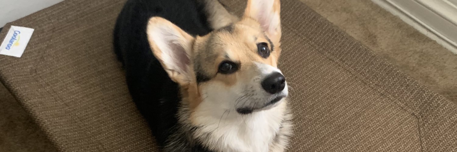 JoRoCoPhilly's profile banner image