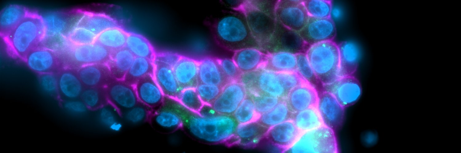 BioImaging North America's banner