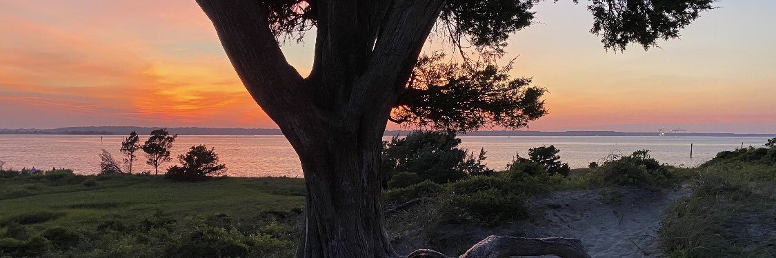 maddyatty's profile banner image