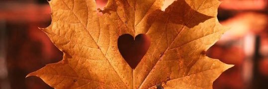 HarleyGrace93's profile banner image