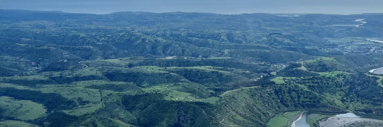 moltedo4's profile banner image
