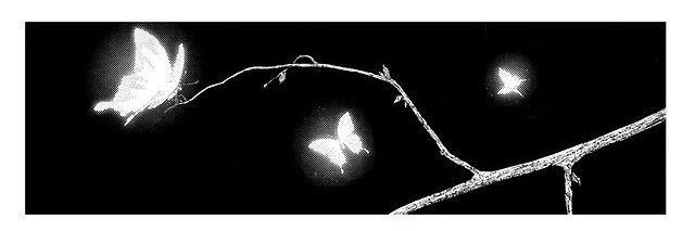 forgotten_uzi's profile banner image