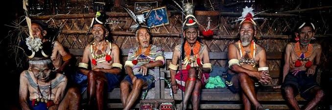 Warrior Boyagain banner