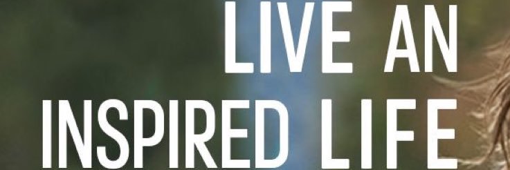 jaymelew's profile banner image