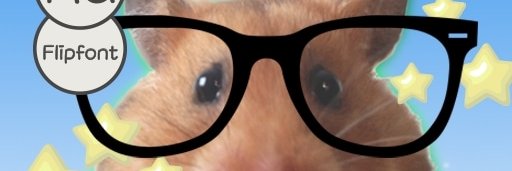 flipfont™ banner