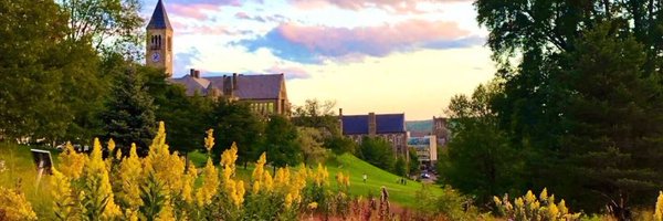 LukeColwell31 Profile Banner