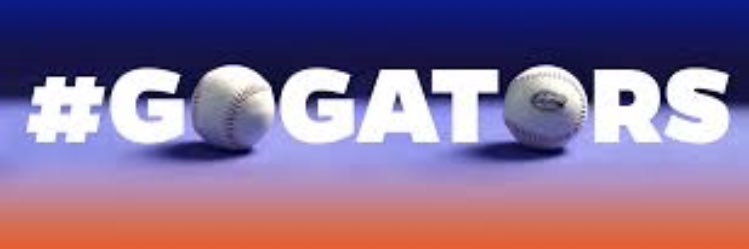 Florida Gators Baseball banner