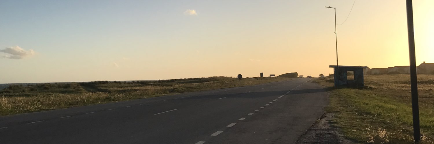 DanSoosaa's profile banner image
