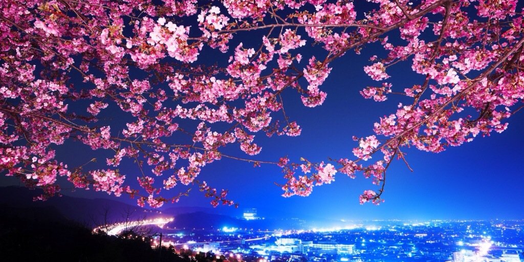 VictoriaAvree's profile banner image