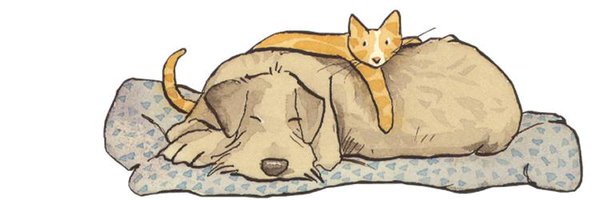 PARA_MASCOTAS Profile Banner