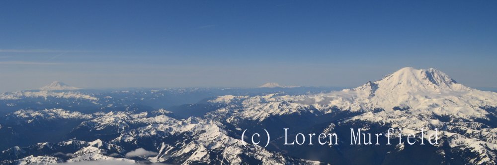 Dr. Loren Murfield banner