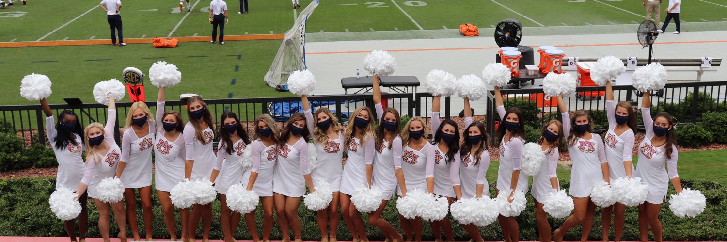 Auburn Tiger Paws banner