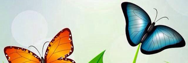 iNatyp's profile banner image