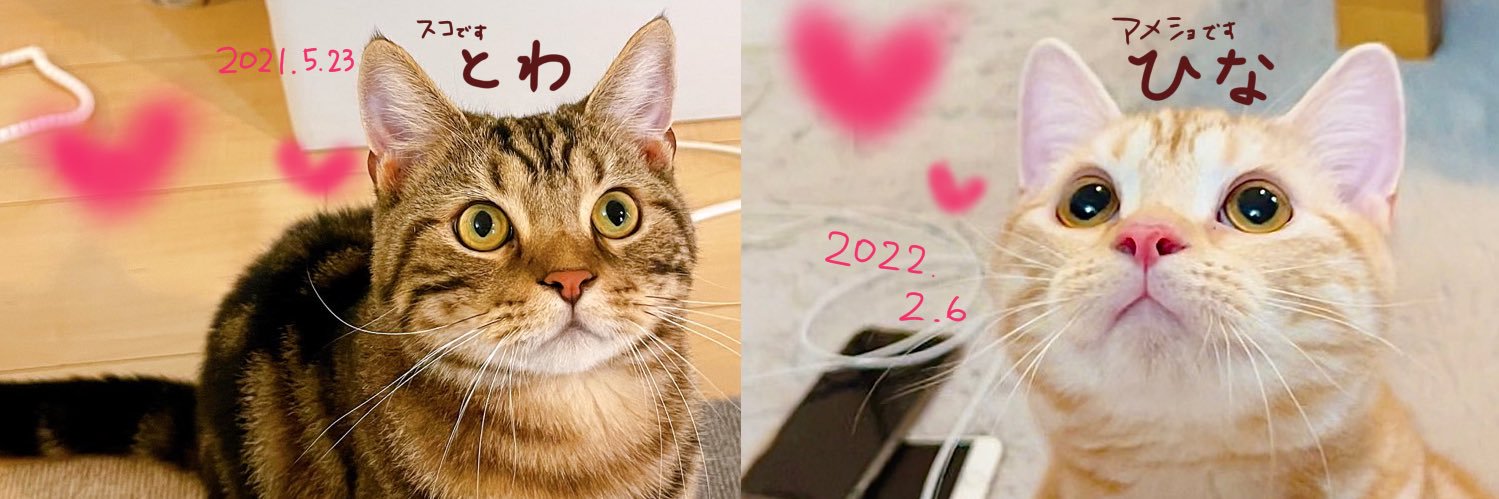 nyan825a's profile banner image