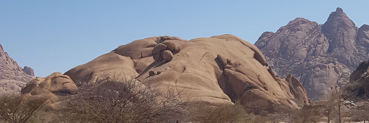 Cecil Togarepi banner