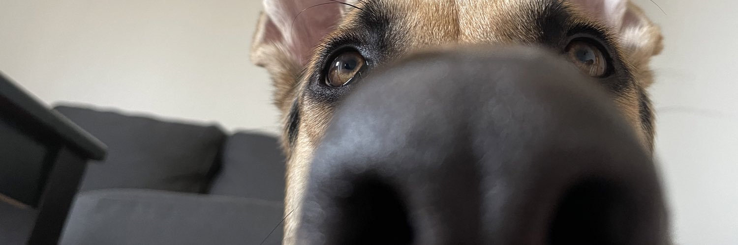 Bumble_bree14's profile banner image