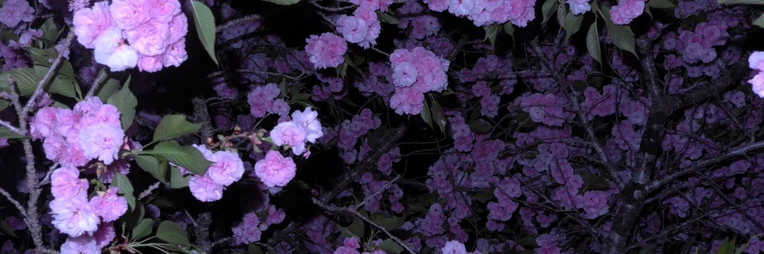kai2002317's profile banner image