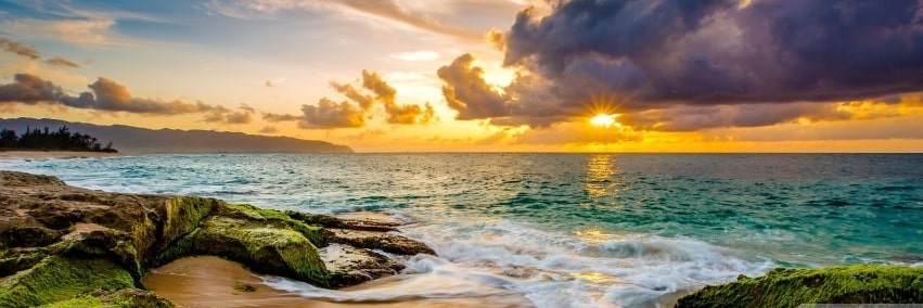 Megan J. Shen, PhD banner