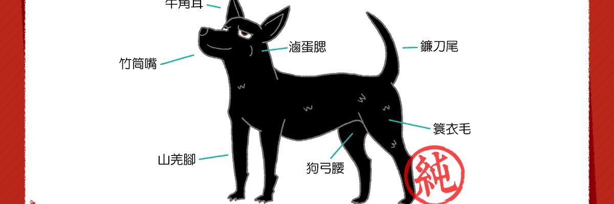 高雄低調 運動系top banner