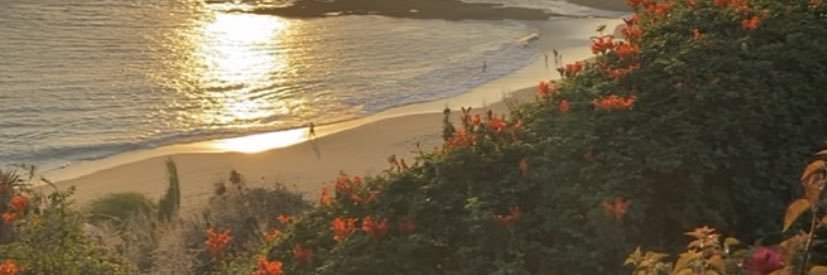 notchristianc's profile banner image