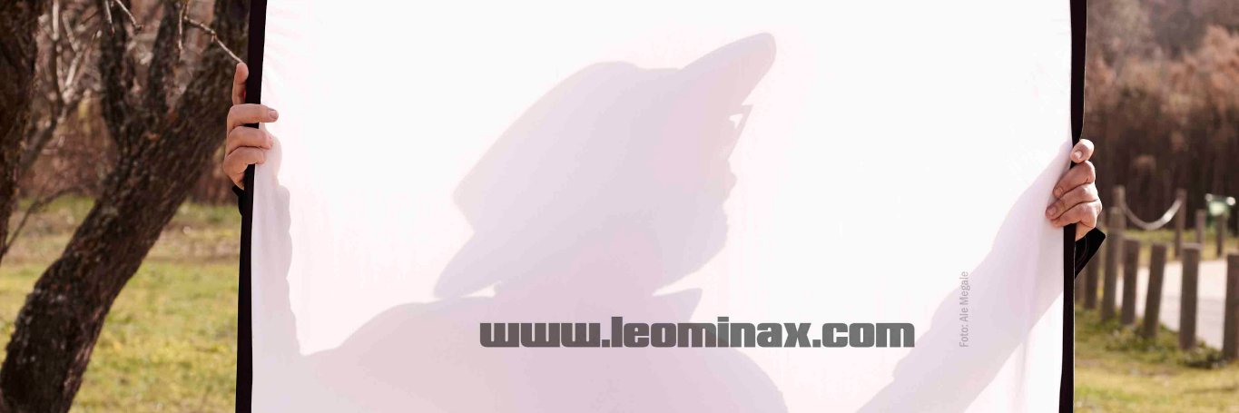 leominax's profile banner image