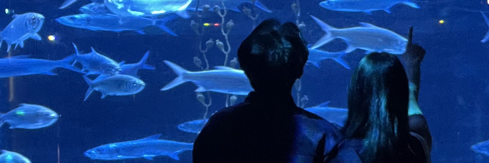 yvesntuar's profile banner image