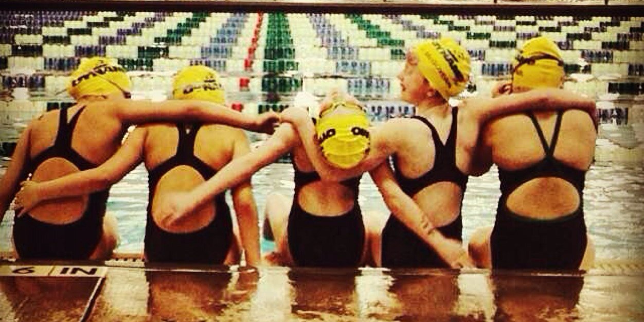 Dynamo Swim Club banner