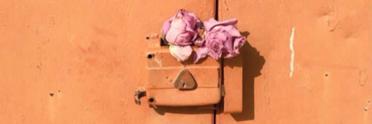 Bushra banner