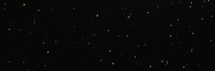 wright_catrina's profile banner image