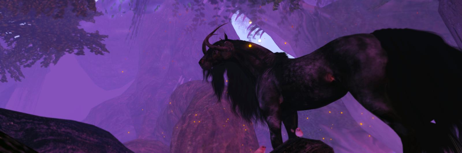 shadethorne's profile banner image