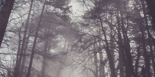 trrrf_11's profile banner image