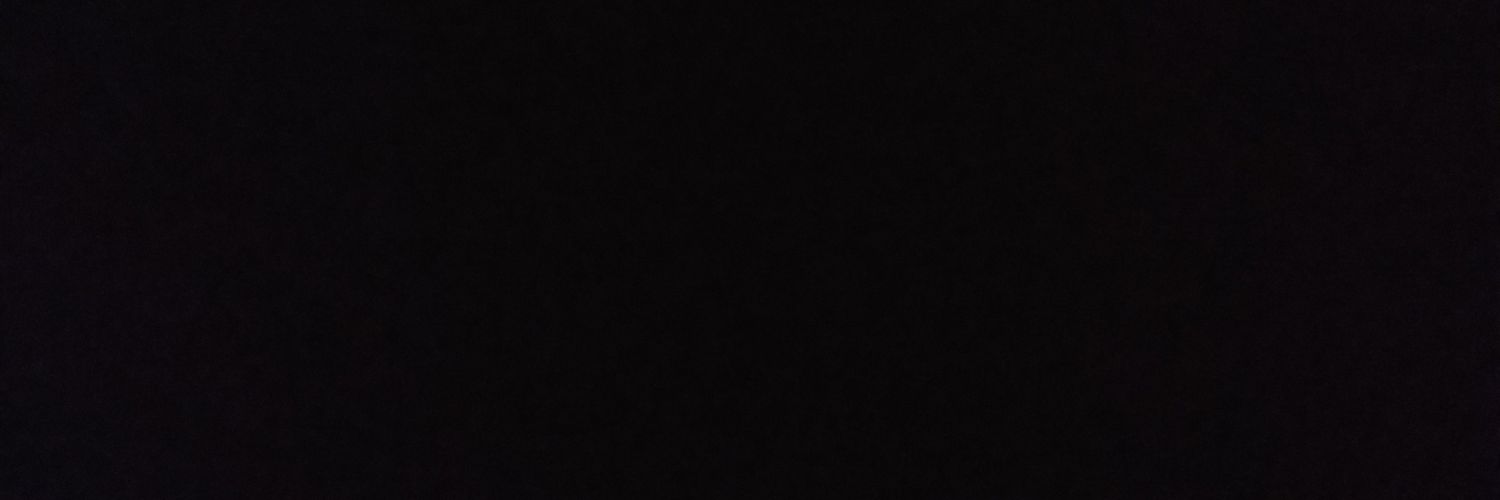 SaraAnchondo's profile banner image